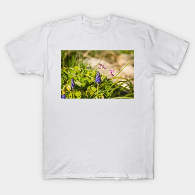 slb muscari T-Shirt by pcfyi